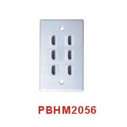 HDMI Wall Plate