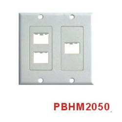 HDMI Wall Plate