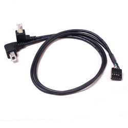 2 USB BM Angled fitting/9p terminal cable