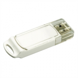 Logo Print ABS Usb Flash Disk