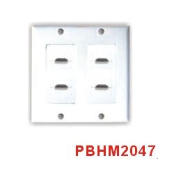 HDMI Wall Plate