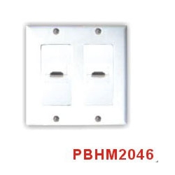 HDMI Wall Plate