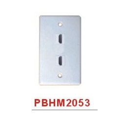 HDMI Wall Plate