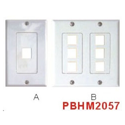 HDMI Wall Plate