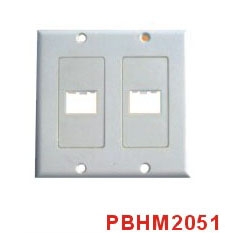 HDMI Wall Plate