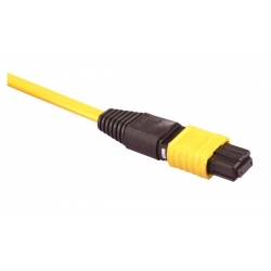 MTP Cable Assembly