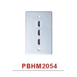 HDMI Wall Plate