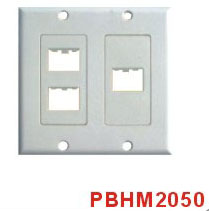 HDMI Wall Plate