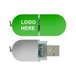 Logo Print ABS Usb Flash Disk