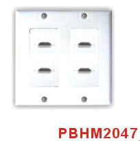 HDMI Wall Plate