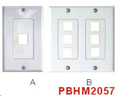 HDMI Wall Plate