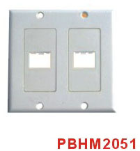 HDMI Wall Plate