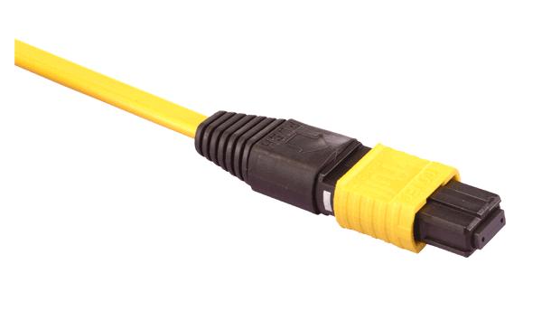 MTP Cable Assembly