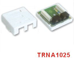 CAT.5E Duplex Ports Surface Mount Box