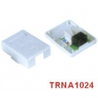CAT.5E Single Port Surface Mount Box