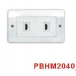 HDMI Wall Plate