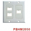 HDMI Wall Plate