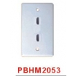 HDMI Wall Plate