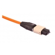 MPO Cable Assembly