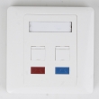 2 Ports Wall Plate