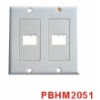 HDMI Wall Plate