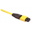 MTP Cable Assembly